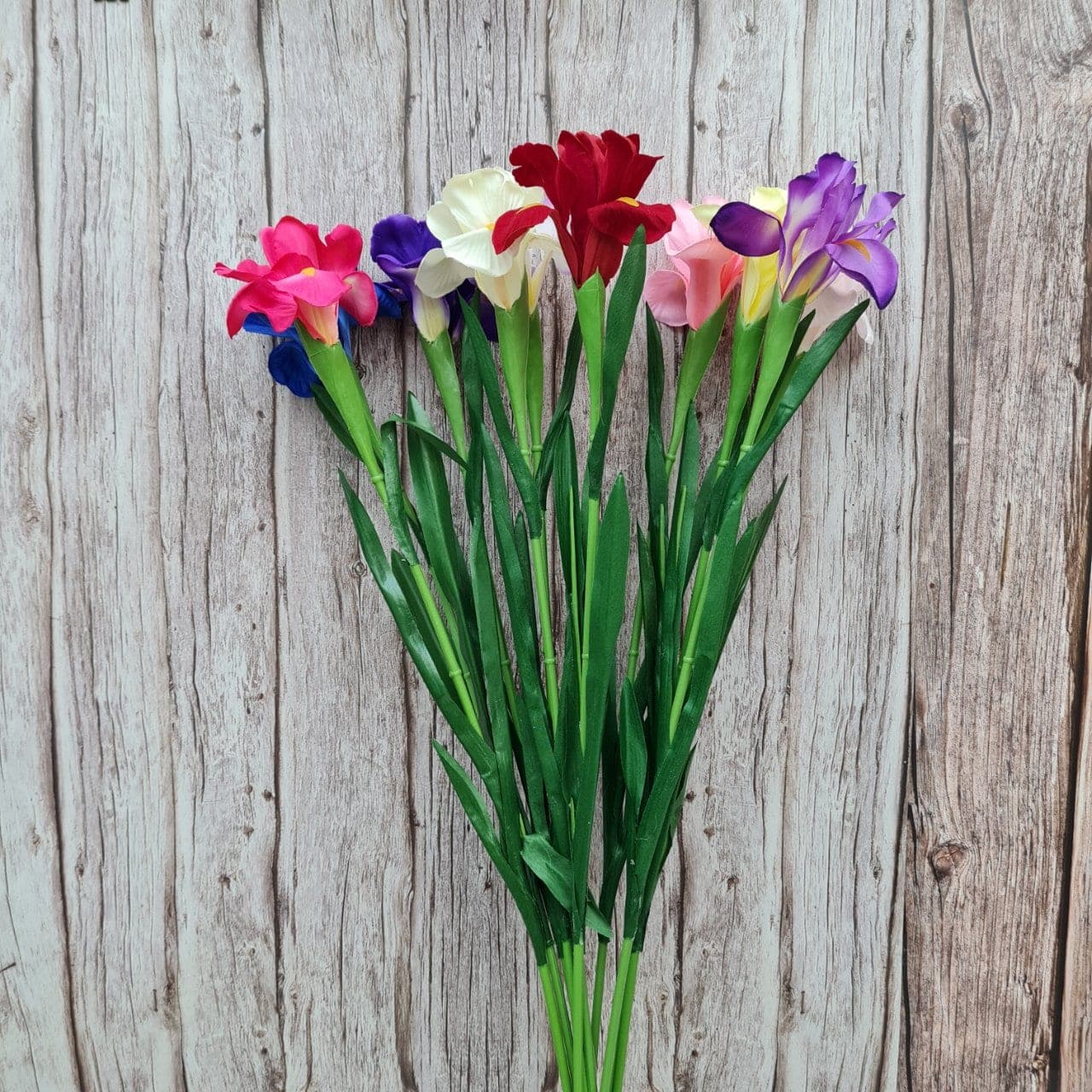 ไอริส (P69), Iris — wing-like petals on a tall stem for a sharp, drawn line.