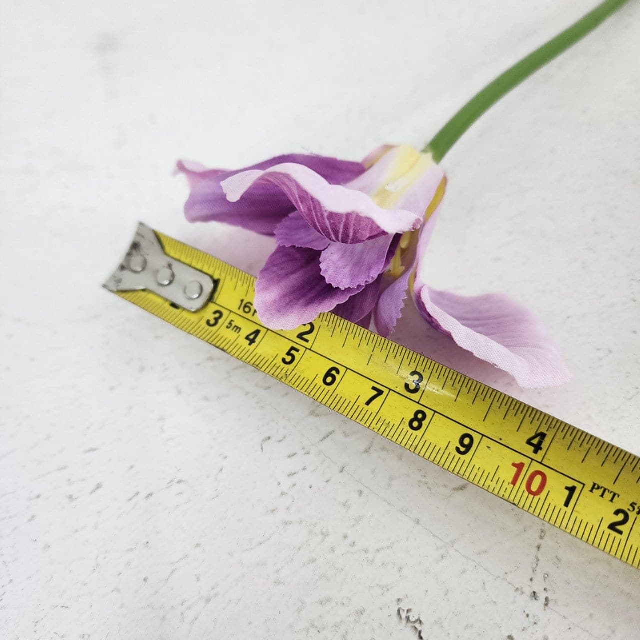 ไอริส (RL), Iris — wing-like petals on a tall stem for a sharp, drawn line.