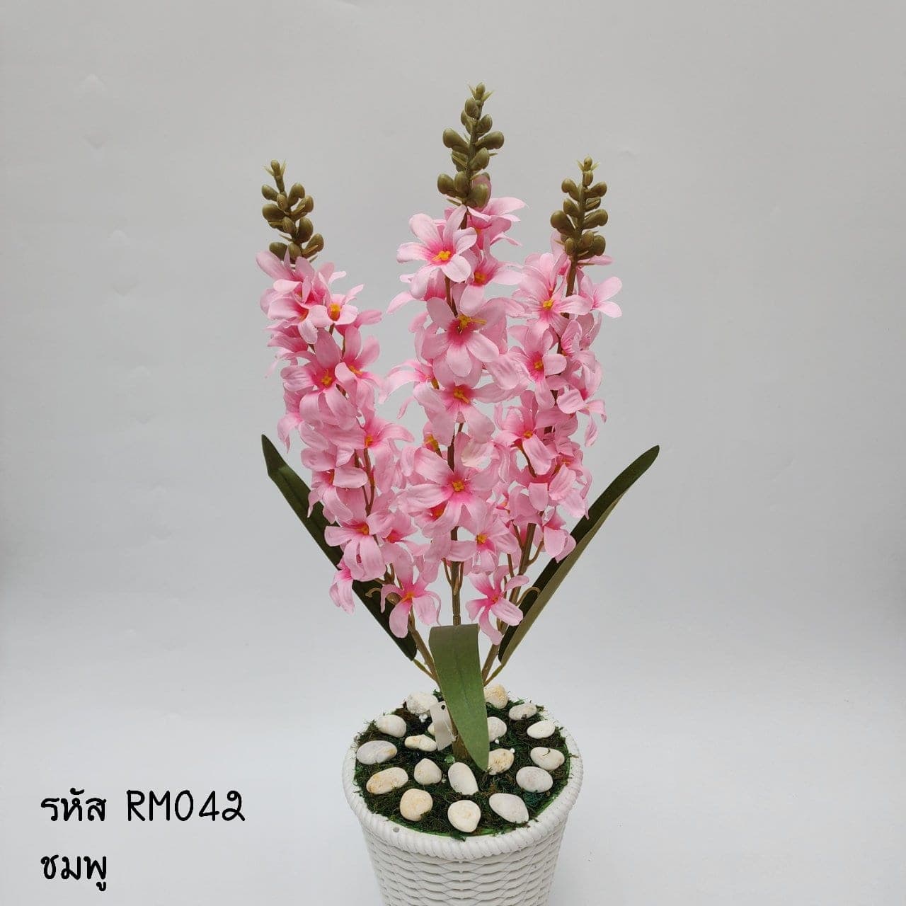 ไฮยาซิน (RM4), Hyacinth — a fleshy stem packed with starry florets in a single column.