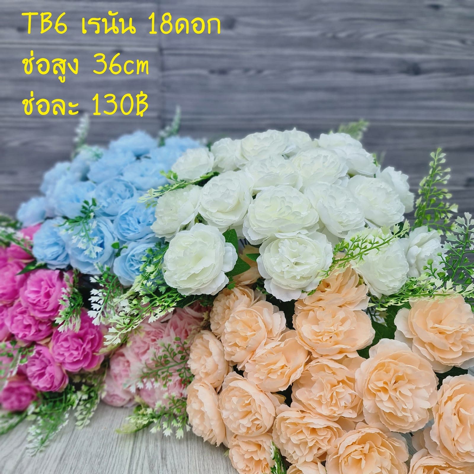 เรนัน 18ดอก (TB6), Spring bloom (18 blooms) — fresh tones and an opened form carrying a warm spring mood.