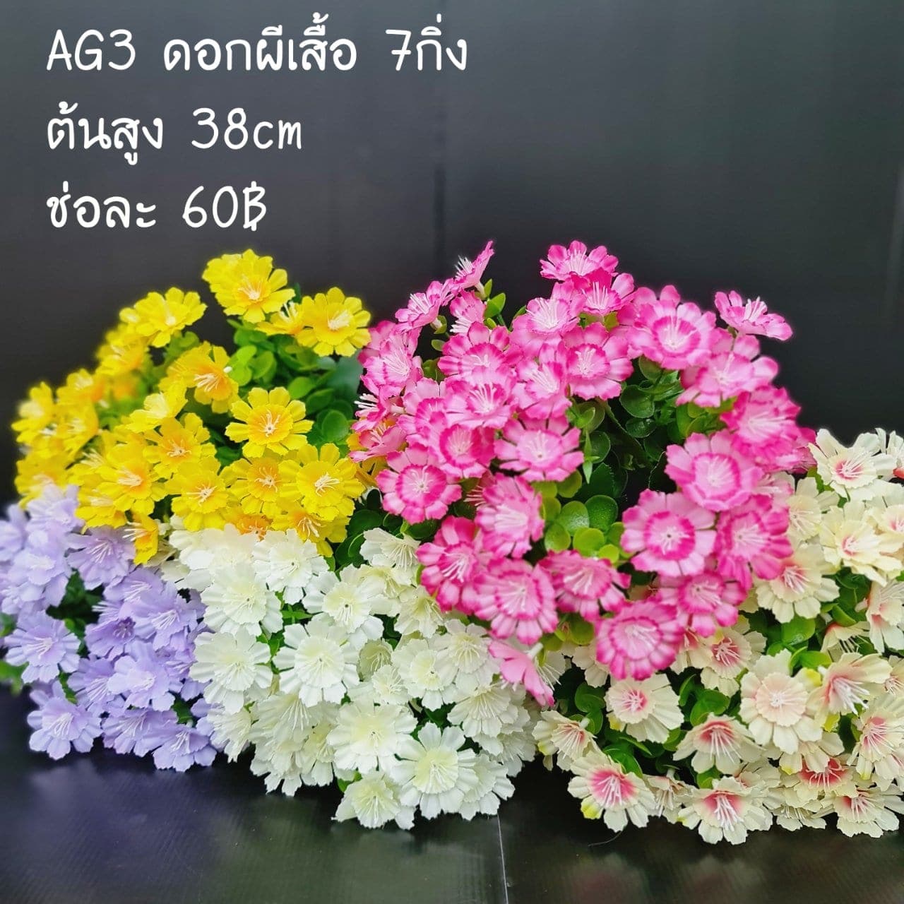 ดอกผีเสื้อ (AG3-2)