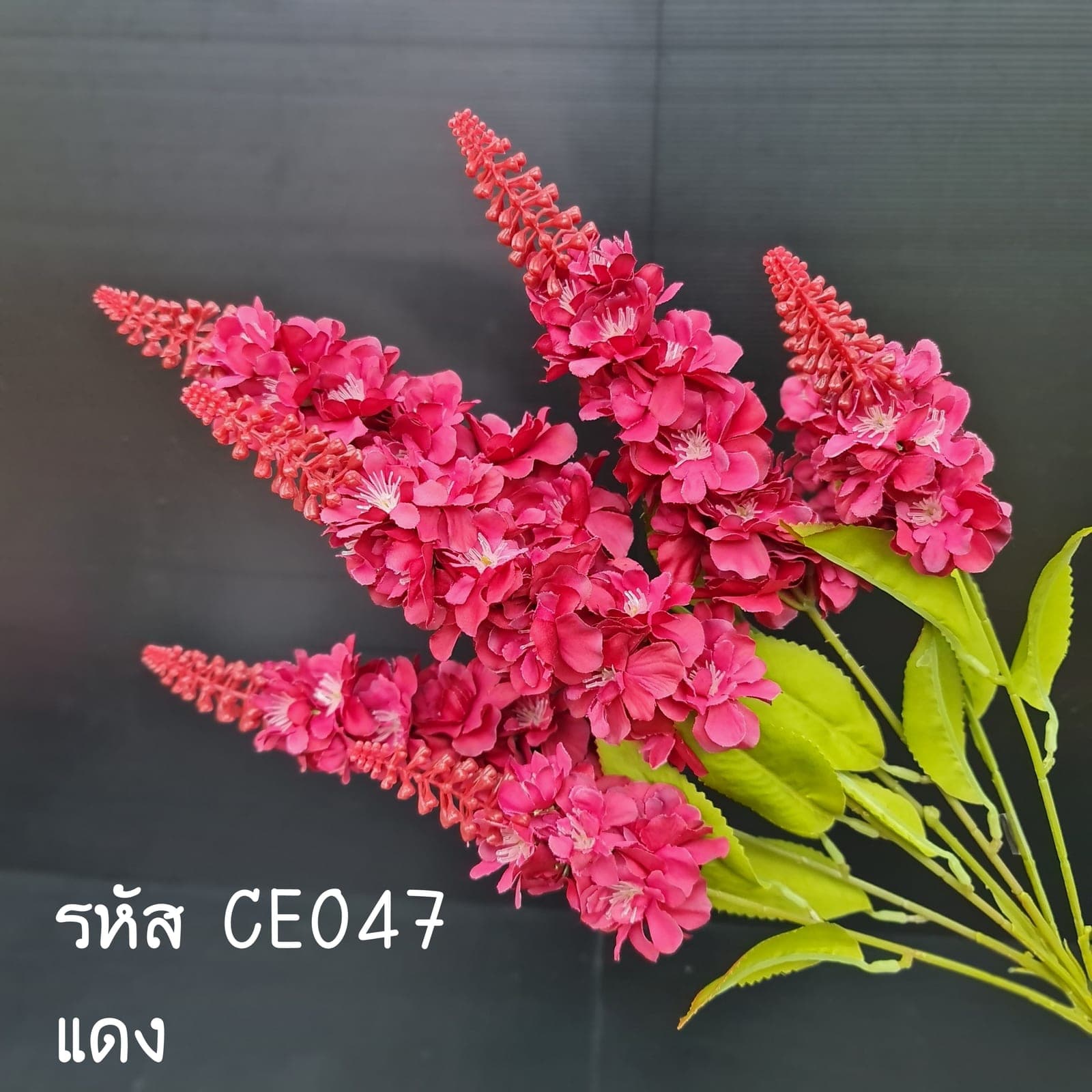 ไลทั่ม สีใหม่ (CE4-2)