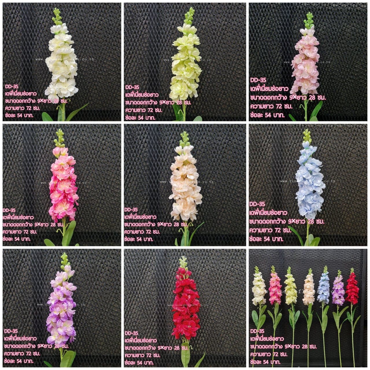เดฟี่เนี่ยม (DD35), Delphinium — small blooms stacked vertically on a tall, clean spire.