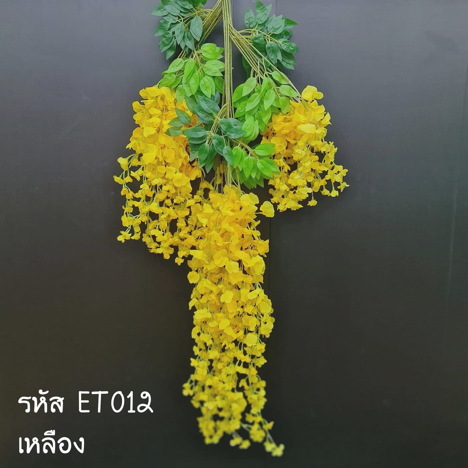 ดอกถั่ว (ET1), Sculptural single stem — a tall stem with a defined silhouette built to anchor a tall vessel.