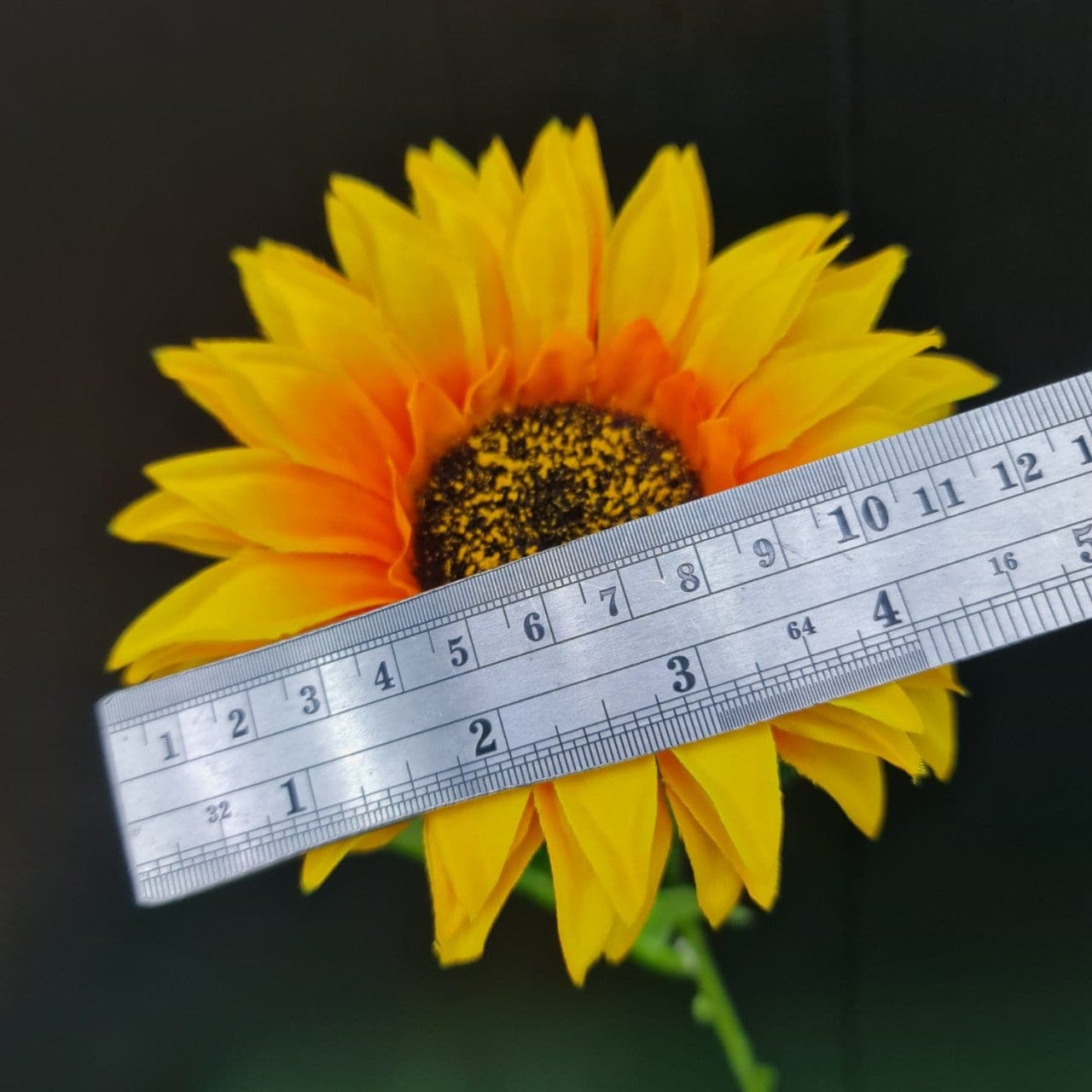 ทานตะวันเดี่ยว (LG1), A single-stem sunflower — a wide head on a long stem, set to brighten the composition.
