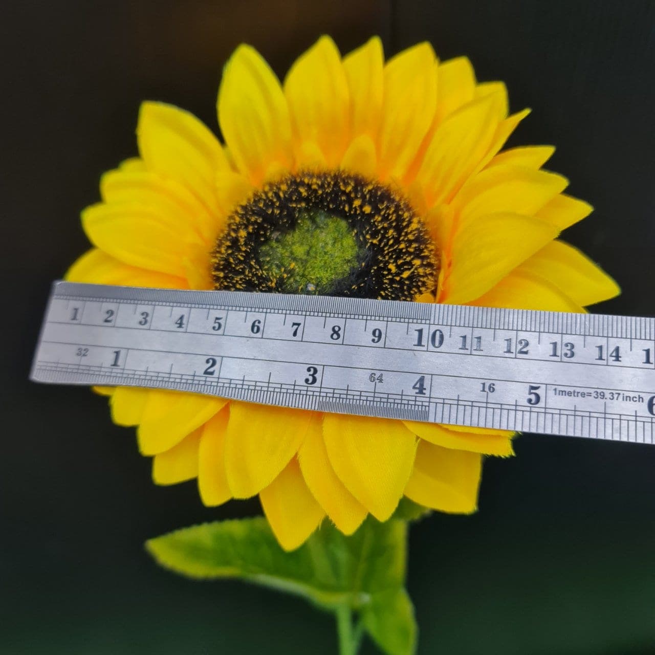 ทานตะวันเดี่ยว (LV5), A single-stem sunflower — golden petals fanning out from a deep, brooding centre.