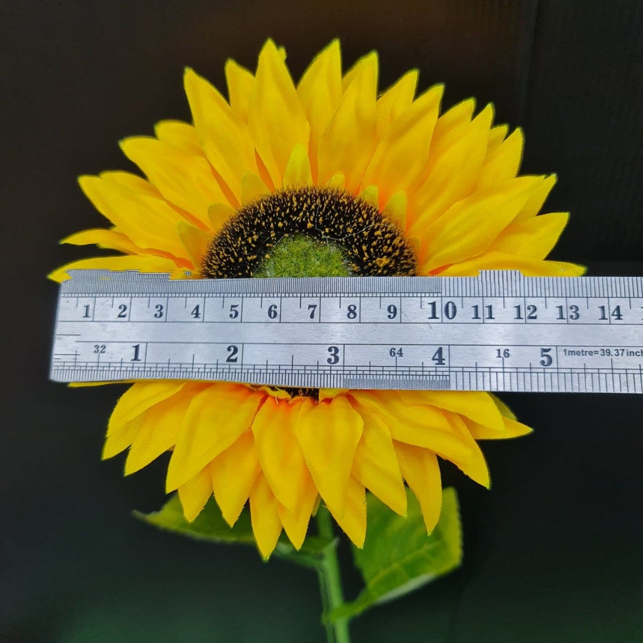 ทานตะวัน (LV6), Sunflower — a dark seed disk ringed by saturated golden ray petals.