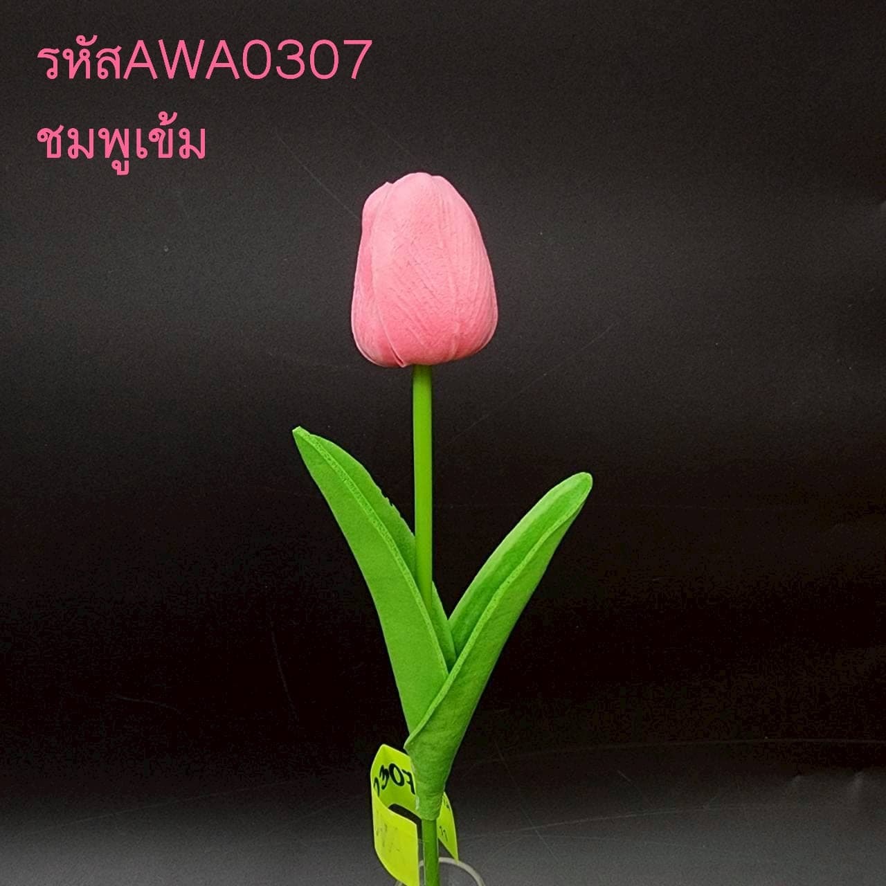 ทิวลิปเดี่ยว (AWA03), A single-stem tulip — a tear-drop head on a fresh green stem for a clean, minimal line.
