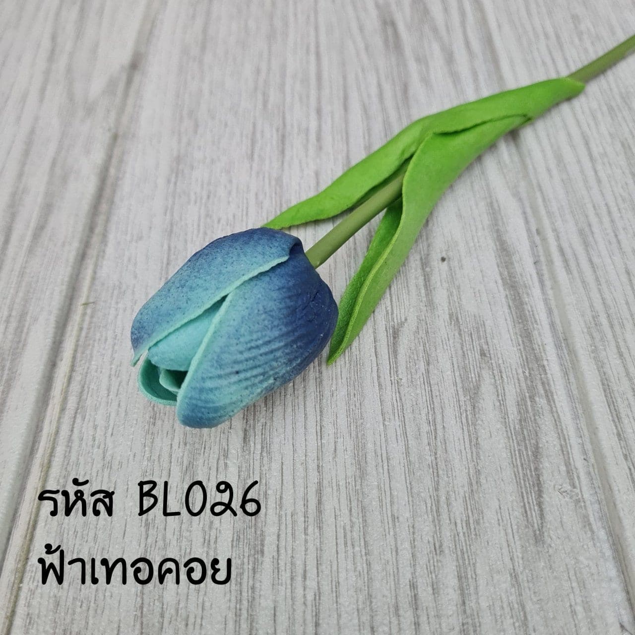 ทิวลิป (BL2), Tulip — cupped petals on lithe stems that move with an organic rhythm.