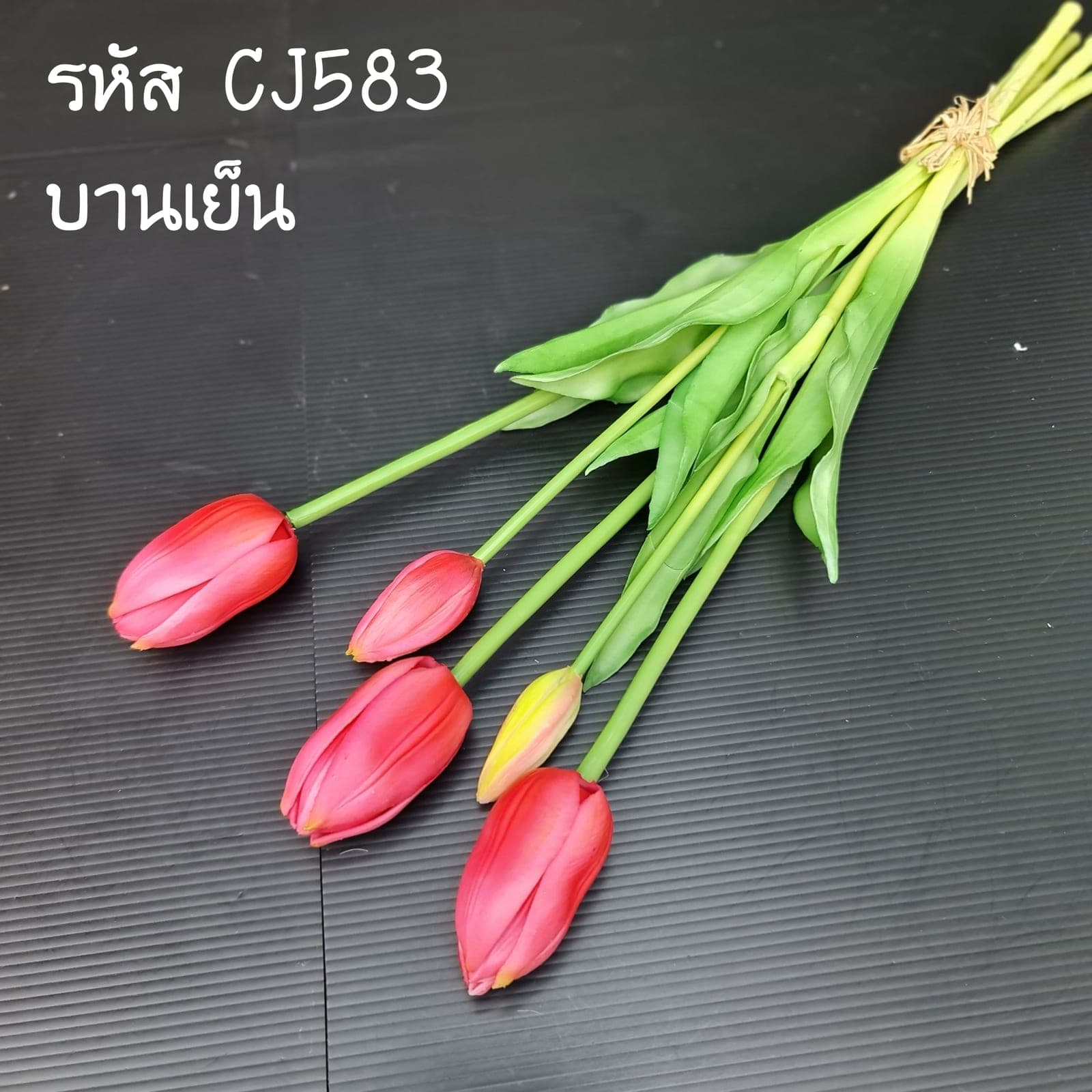 ทิวลิปยาง (CJ58), Tulip — a tear-drop head on a fresh green stem for a clean, minimal line.
