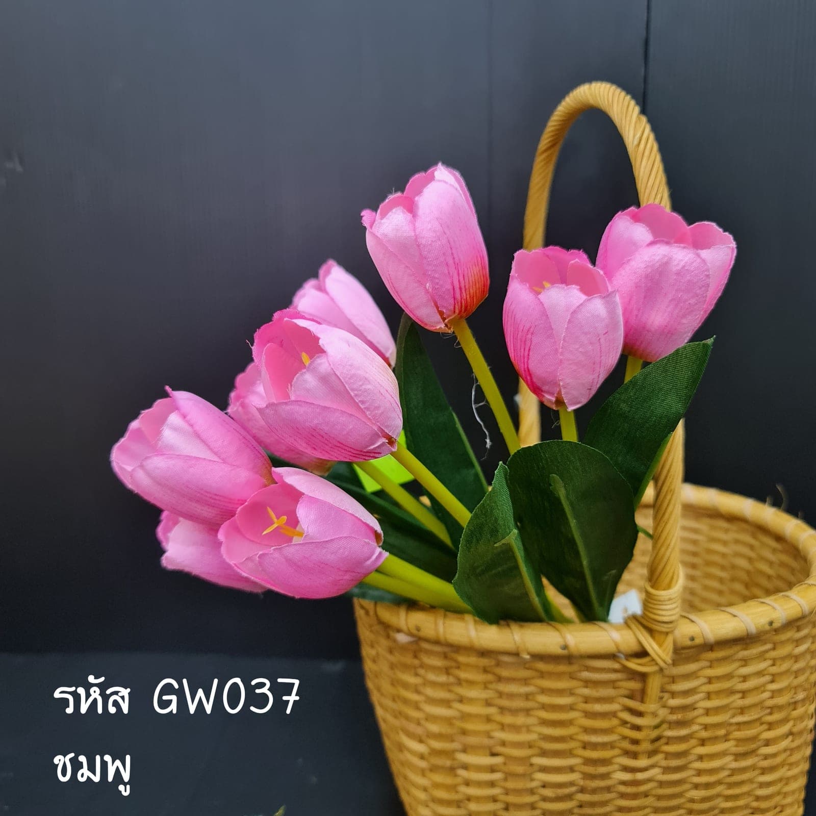 ทิวลิป 9ดอก (GW3), Tulip (9 blooms) — soft petals that catch and diffuse light.