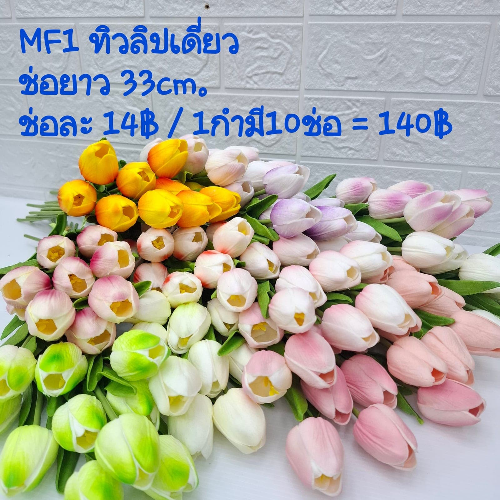 ทิวลิปเดี่ยว (MF01), A single-stem tulip — a tear-drop head on a fresh green stem for a clean, minimal line.