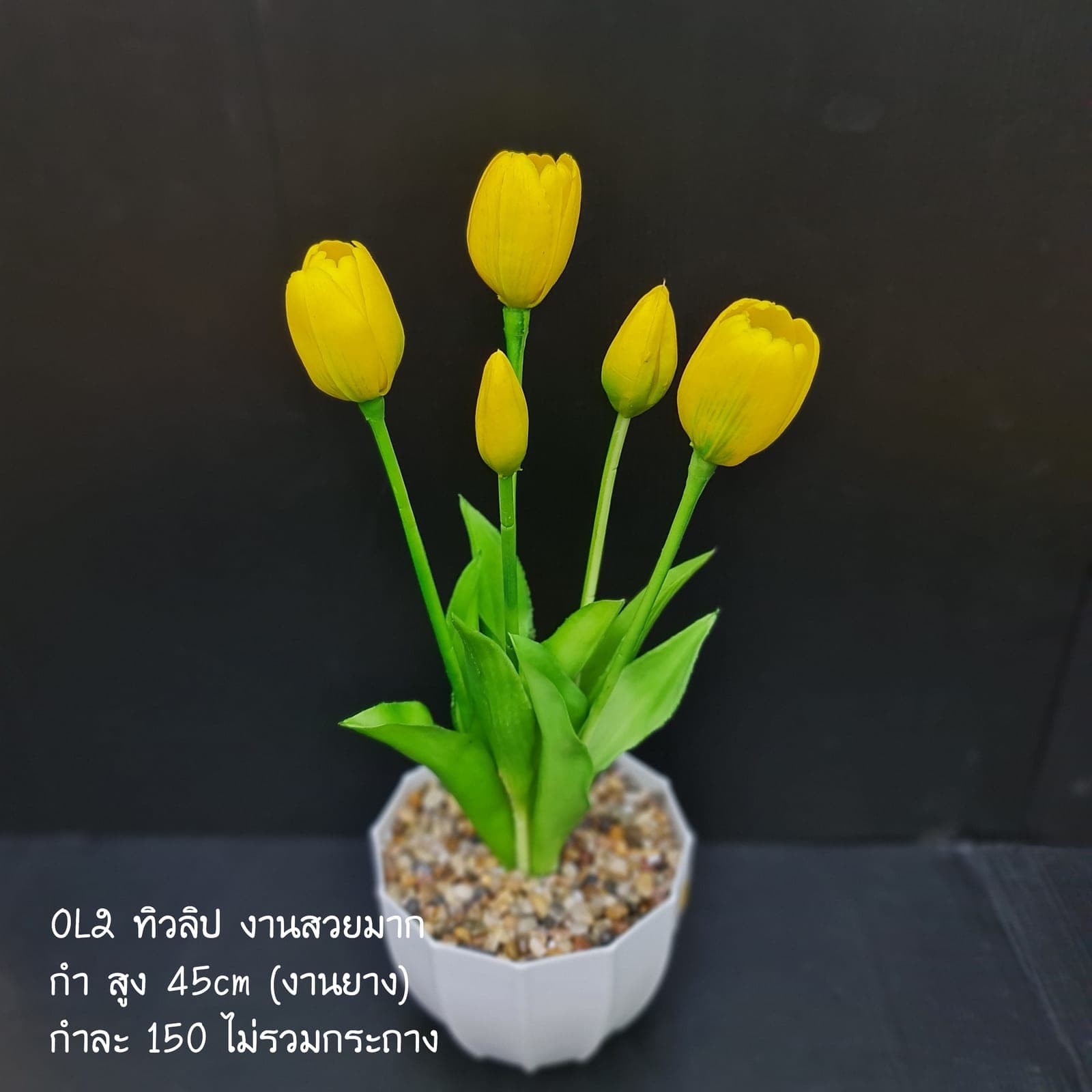 ทิวลิป (OL2), Tulip — a tear-drop head on a fresh green stem for a clean, minimal line.