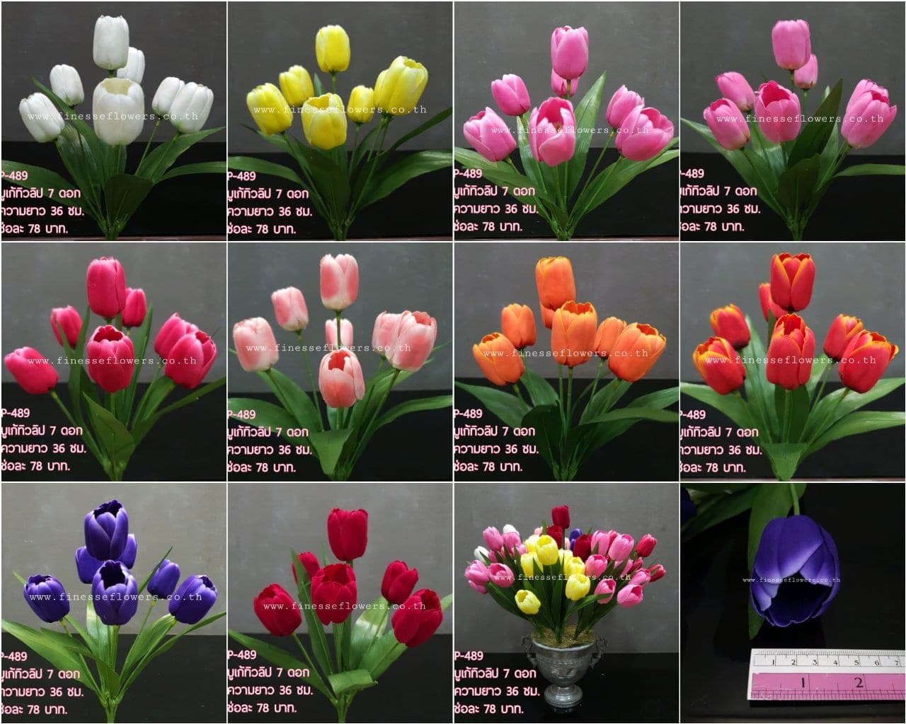 ทิวลิป 7 ดอก (P489), Tulip (7 blooms) — soft petals that catch and diffuse light.