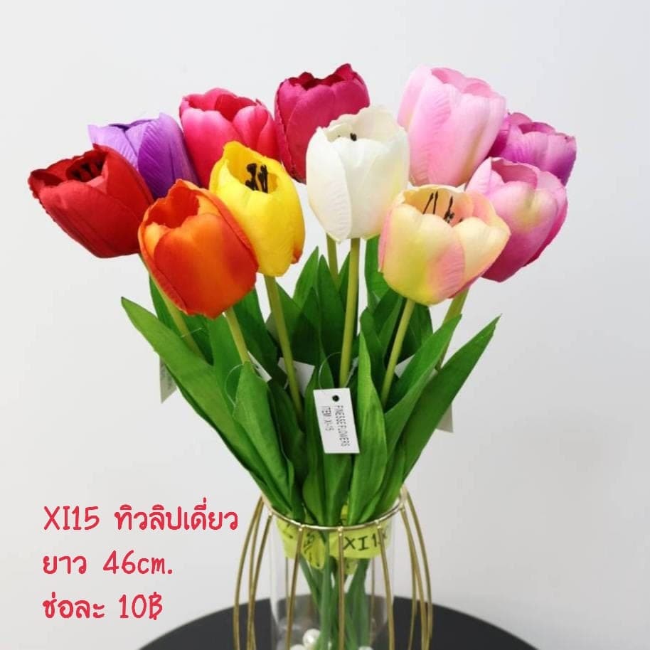 ทิวลิปเดี่ยว (XI15), A single-stem tulip — soft petals that catch and diffuse light.